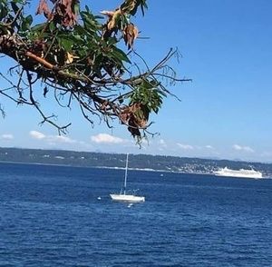 Meet your Posher, Kelli